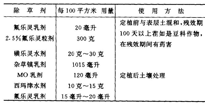 青花菜管理技术