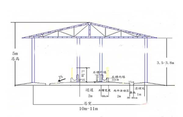 肉牛养殖场建设方案