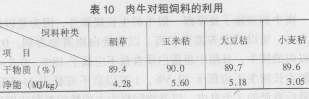 肉牛的饲养技术