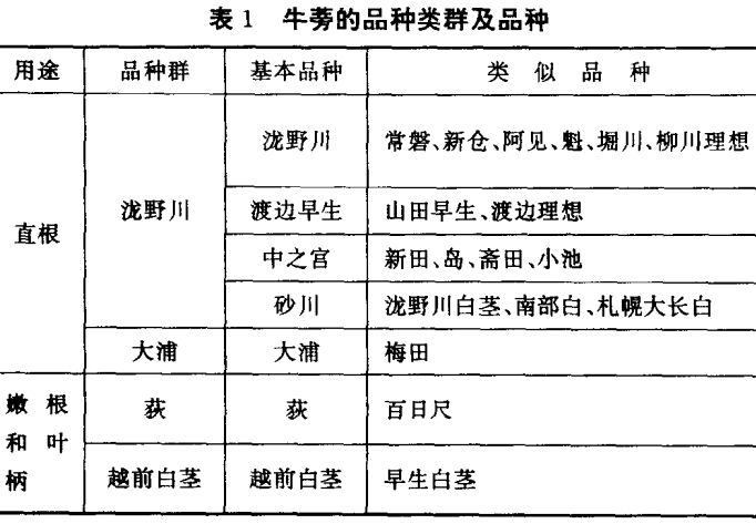 牛蒡栽培技术