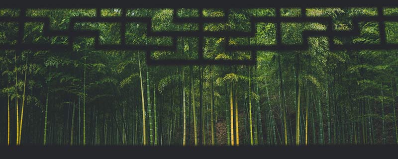 竹石写作背景是什么 竹石作者写作背景