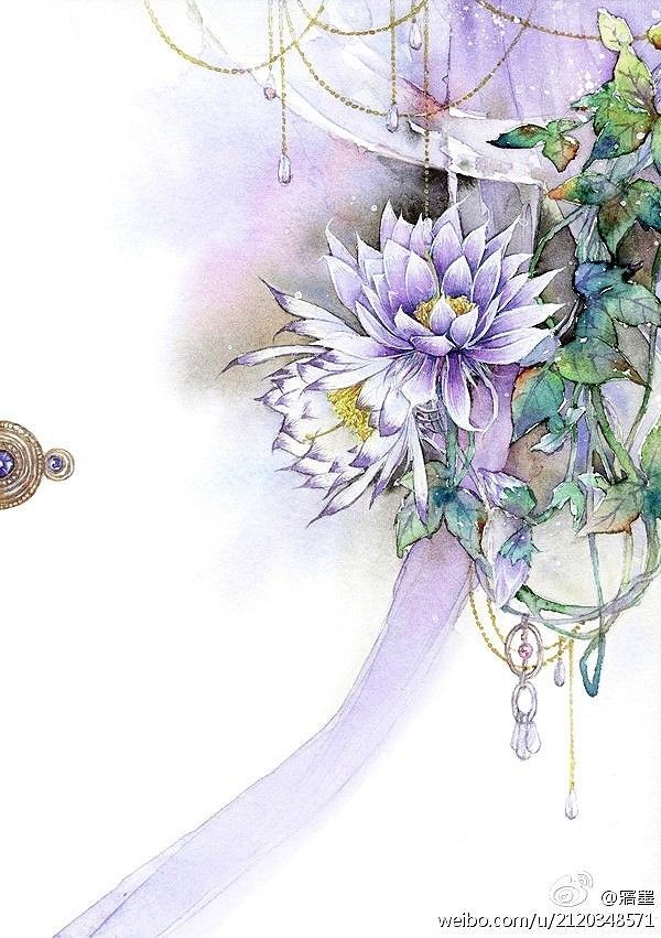 荼蘼花图片古风