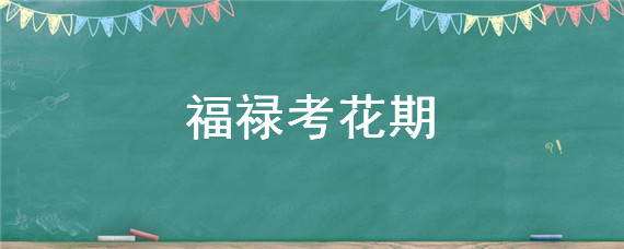 福禄考花期