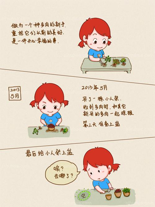 多肉“小人祭” 的养殖图解