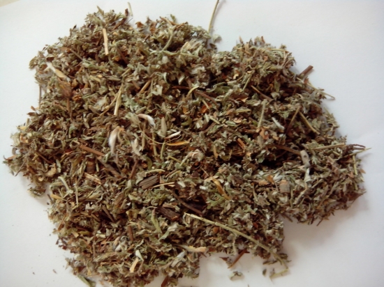 脾胃虚寒者忌用