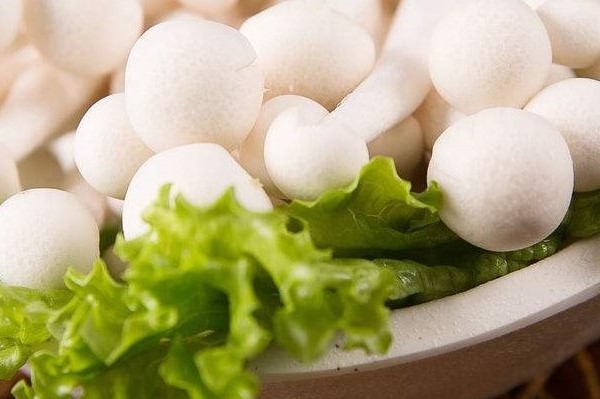 蟹味菇焯水要多长时间