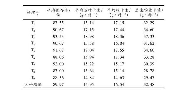 龙岩市毛竹林下黄花远志种植技术