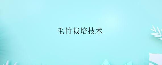 毛竹栽培技术