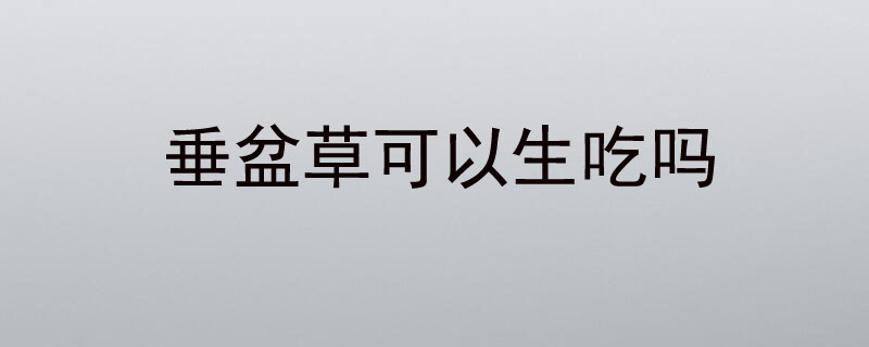 垂盆草可以生吃吗？