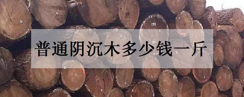 普通阴沉木多少钱一斤 价格贵不贵