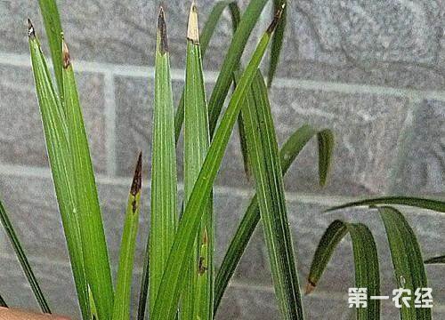 2、遮阴防阳