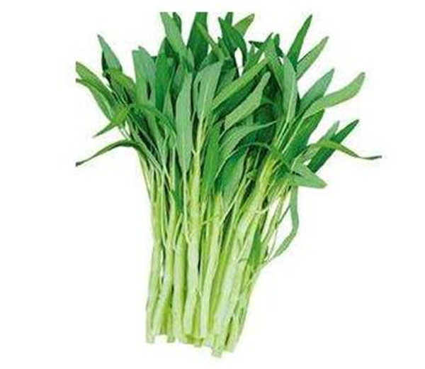 竹叶菜是空心菜吗 竹叶菜的功效与禁忌