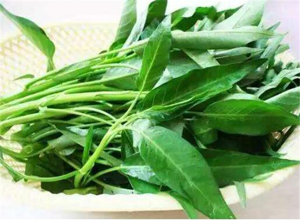 竹叶菜是空心菜吗 竹叶菜的功效与禁忌