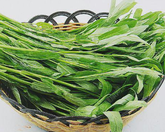 哪些人应慎吃竹叶菜