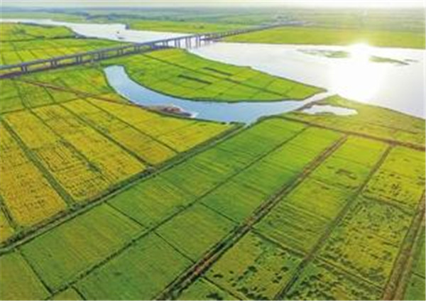 鱼米之乡是哪里 中国江南、衡阳鱼米之乡分布是指什么地方