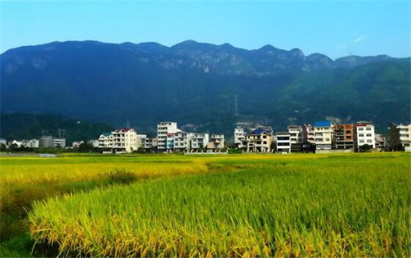 鱼米之乡是哪里 中国江南、衡阳鱼米之乡分布是指什么地方