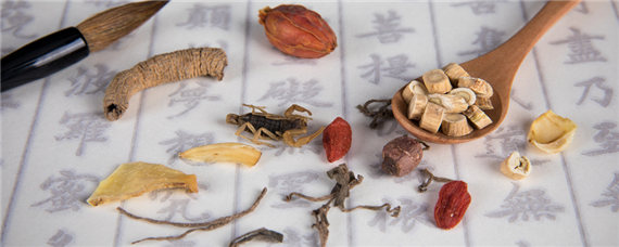 节节草与麻黄的区别