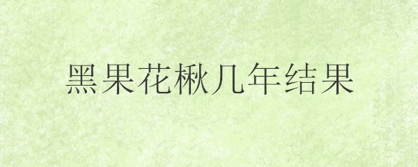 黑果花楸几年结果