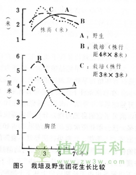 迁地保护活植物的成功栽培