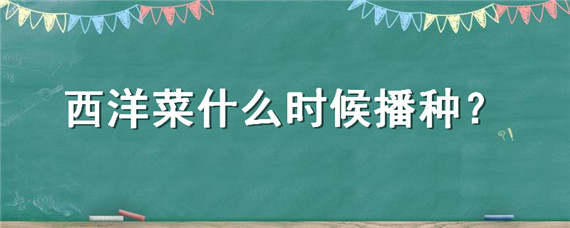 西洋菜什么时候播种