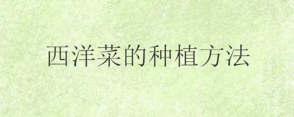 西洋菜的种植方法