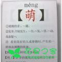 网络流行语大全