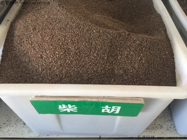 柴胡什么时候播种最好？