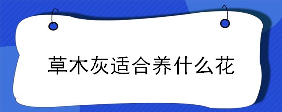 草木灰适合养什么花