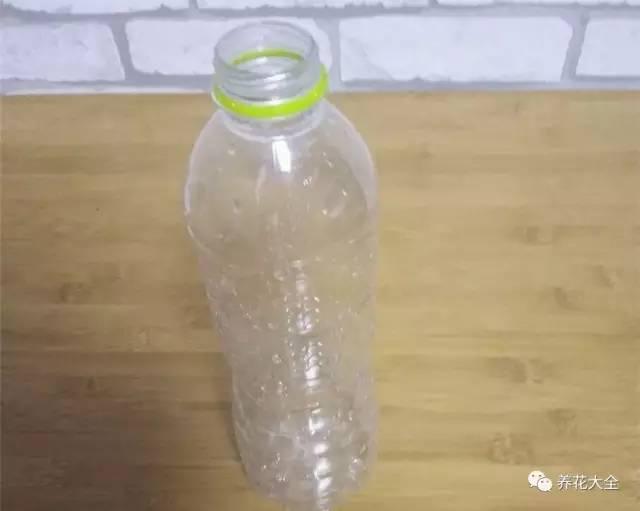养花种菜谁还花钱，1个塑料瓶就搞定！