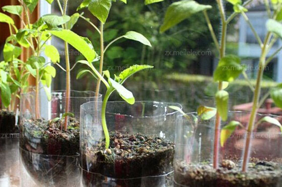 自制塑料花盆简易做法,塑料瓶DIY回收利用