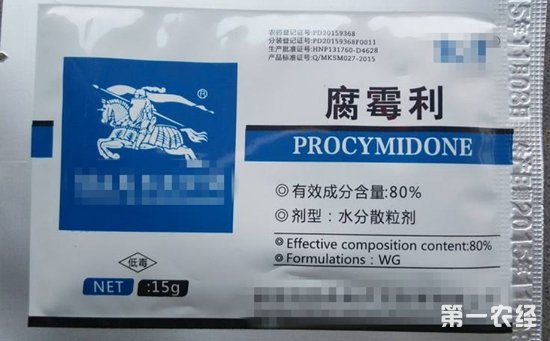 植物灰霉病用什么药？灰霉病特效药