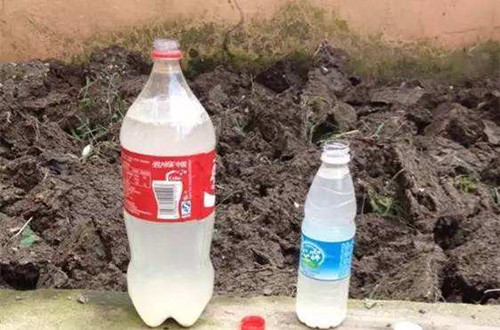 淘米水自制水培营养液方法 简单实用效果比买的好(图)