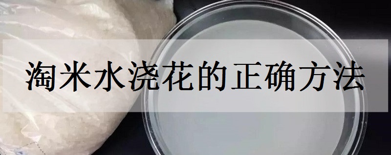 淘米水浇花的正确方法 有什么好处