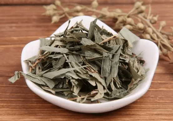 淡竹叶的根有什么作用