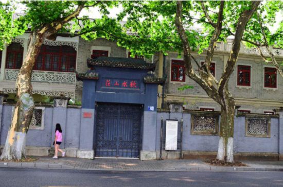 悬铃木和梧桐的4大区别