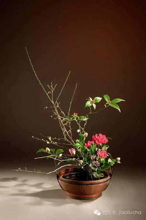 以蓝为花器插花欣赏