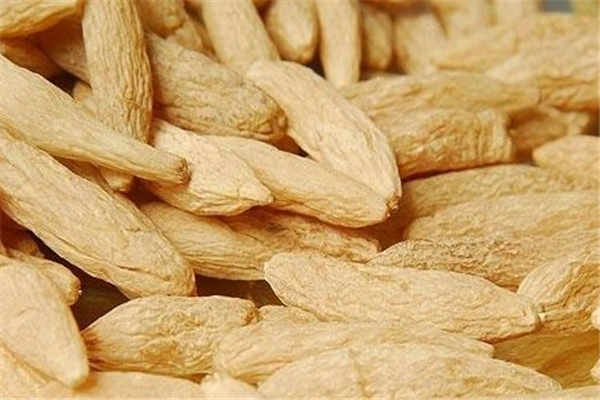 麦冬泡水喝的五大禁忌 有什么功效