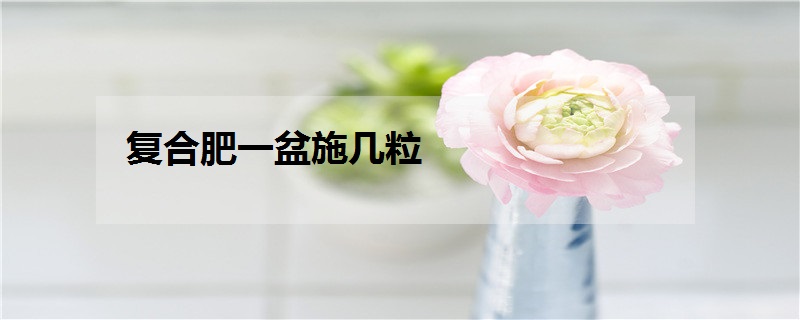 复合肥一盆施几粒 如何给花施肥