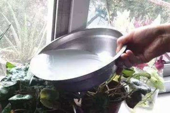 淘米水直接浇花了怎么补救(淘米水放几天浇花最好)