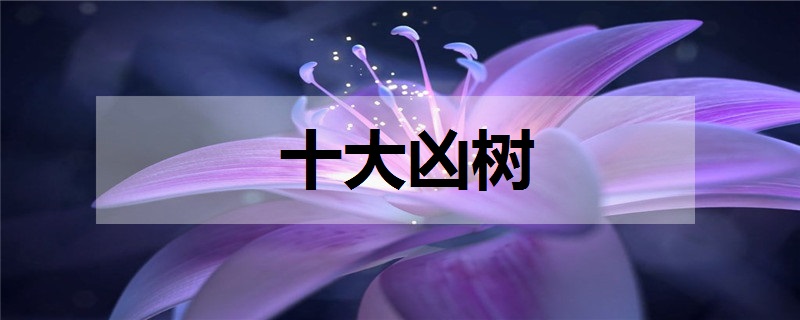 十大凶树 盘点十大阴气很重的植物