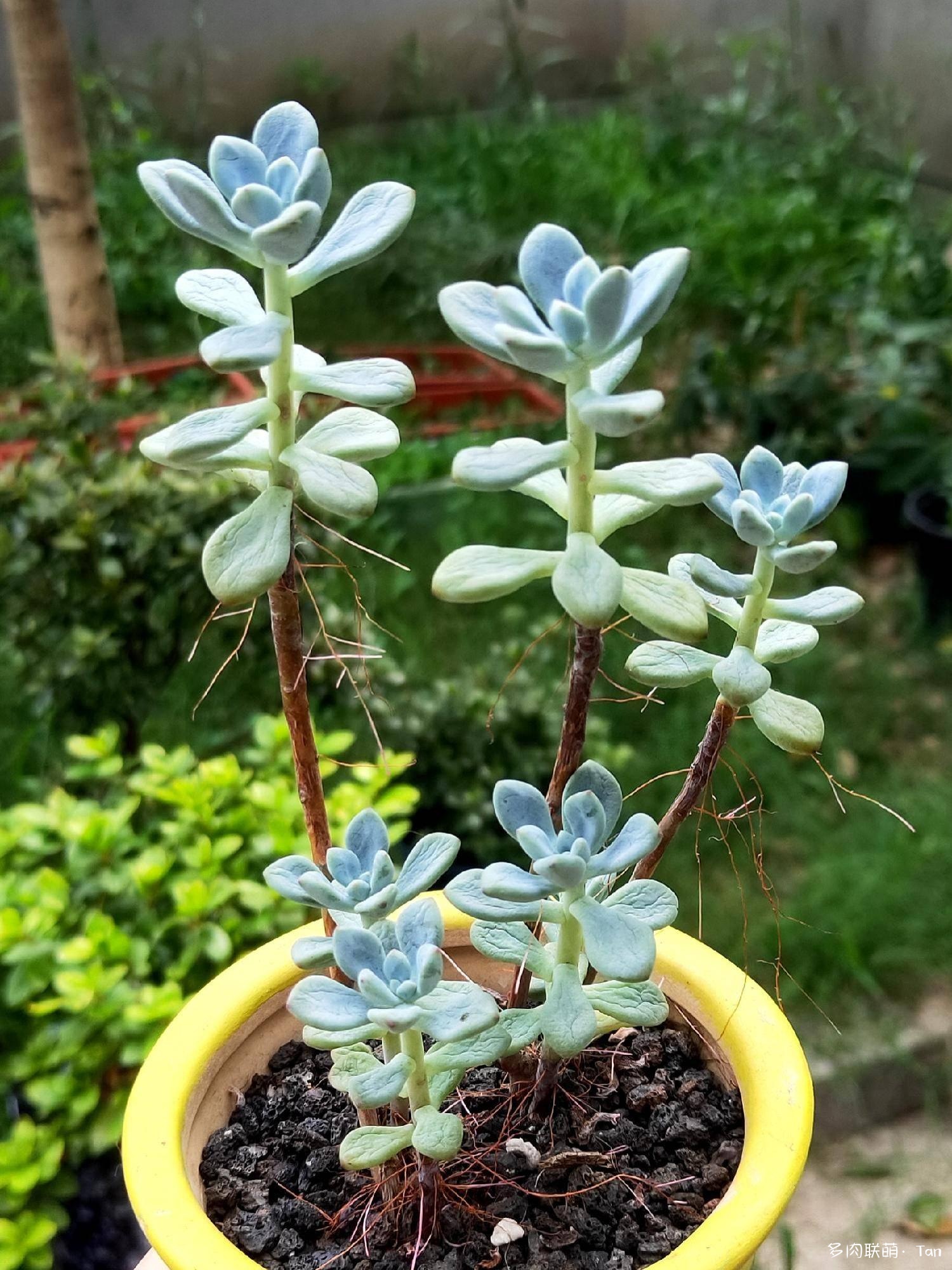 冰火两重天，莫相问，待从头