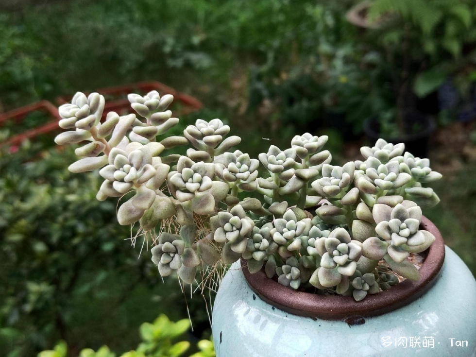 冰火两重天，莫相问，待从头