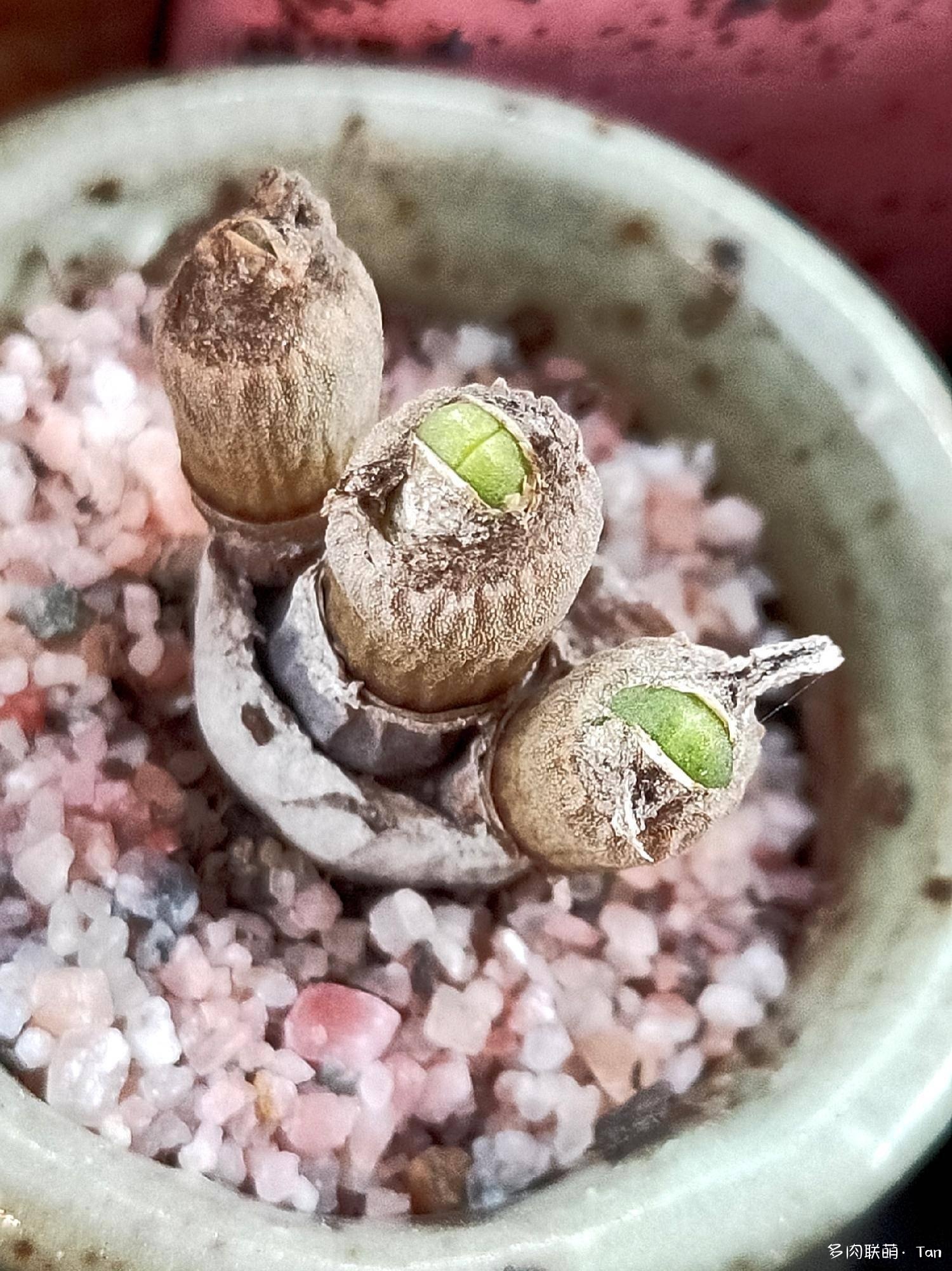 冰火两重天，莫相问，待从头