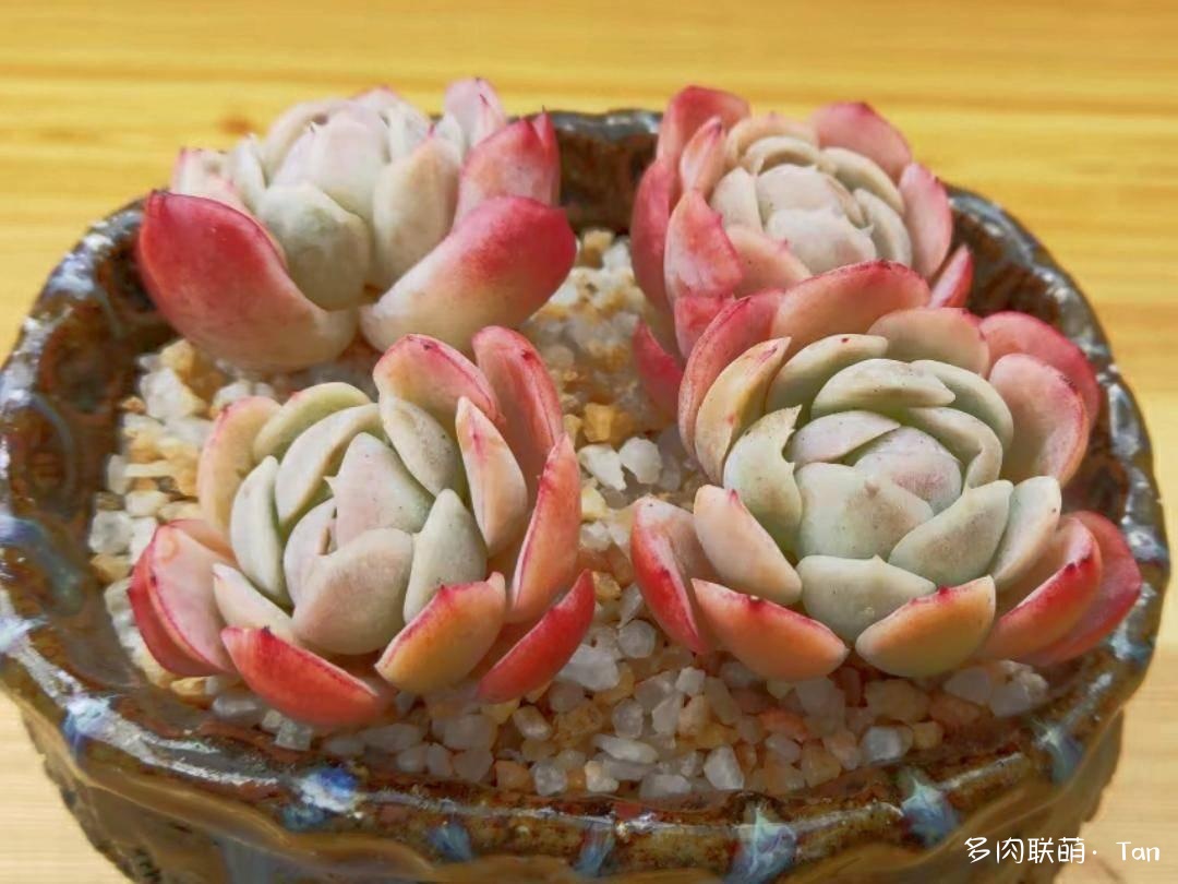 冰火两重天，莫相问，待从头