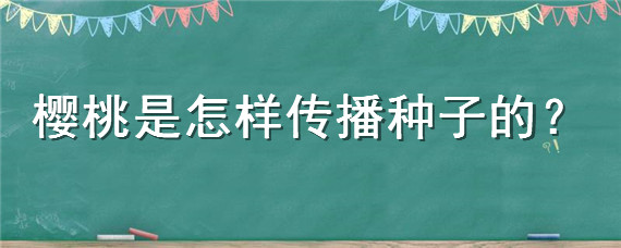 樱桃是怎样传播种子的