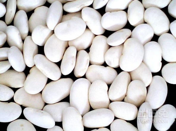 白芸豆图片介绍，何为名贵食用豆？