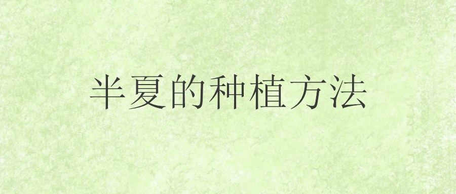 半夏的种植方法