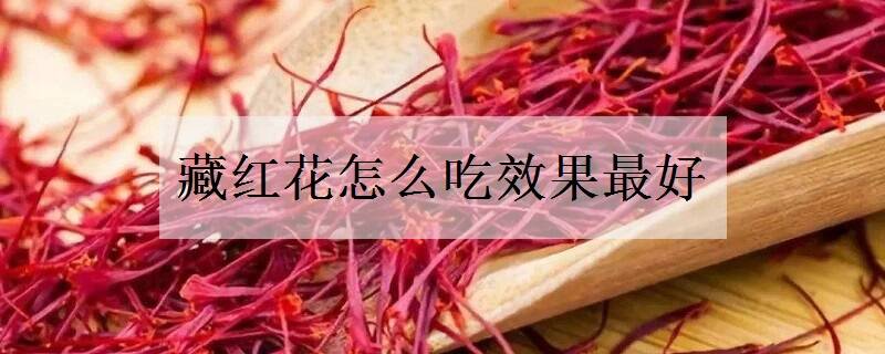 藏红花怎么吃效果最好 食用方法有哪些