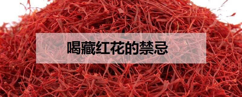 喝藏红花的禁忌 有什么作用