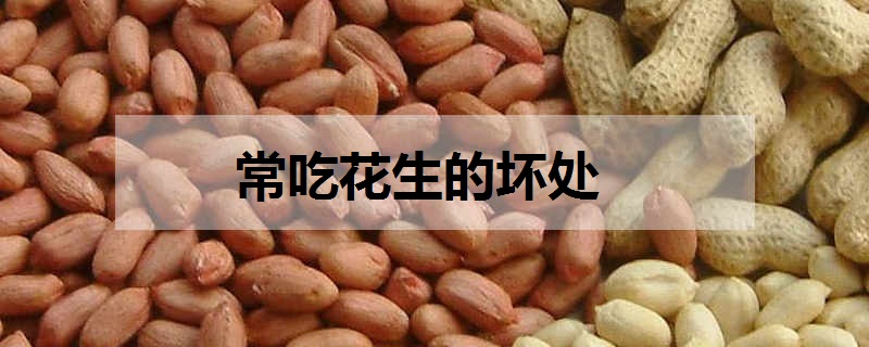常吃花生的坏处 吃花生好不好